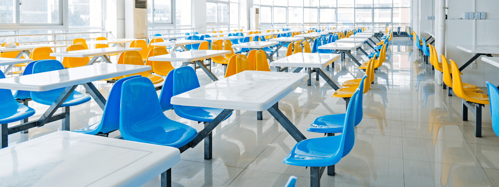 Untitled design (13)